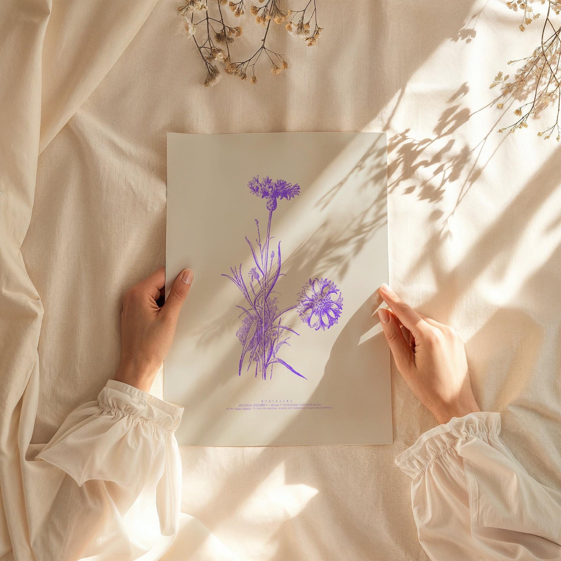 Echinacea Botanical Poster | Vintage Cornflower Illustration | Purple Floral Art | Nature Lovers Decor | Botanical Poster | Modern Vintage