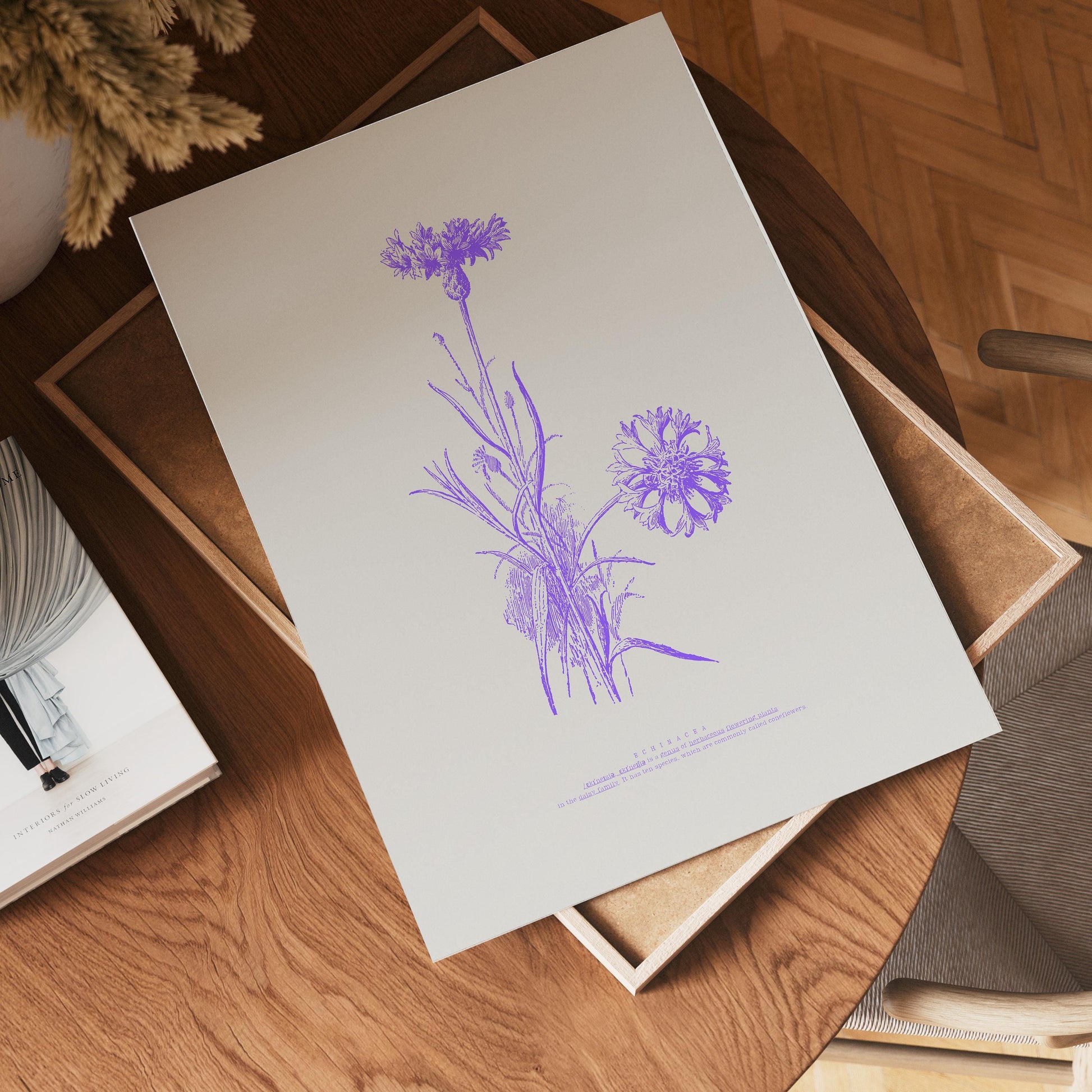 Echinacea Botanical Poster | Vintage Cornflower Illustration | Purple Floral Art | Nature Lovers Decor | Botanical Poster | Modern Vintage