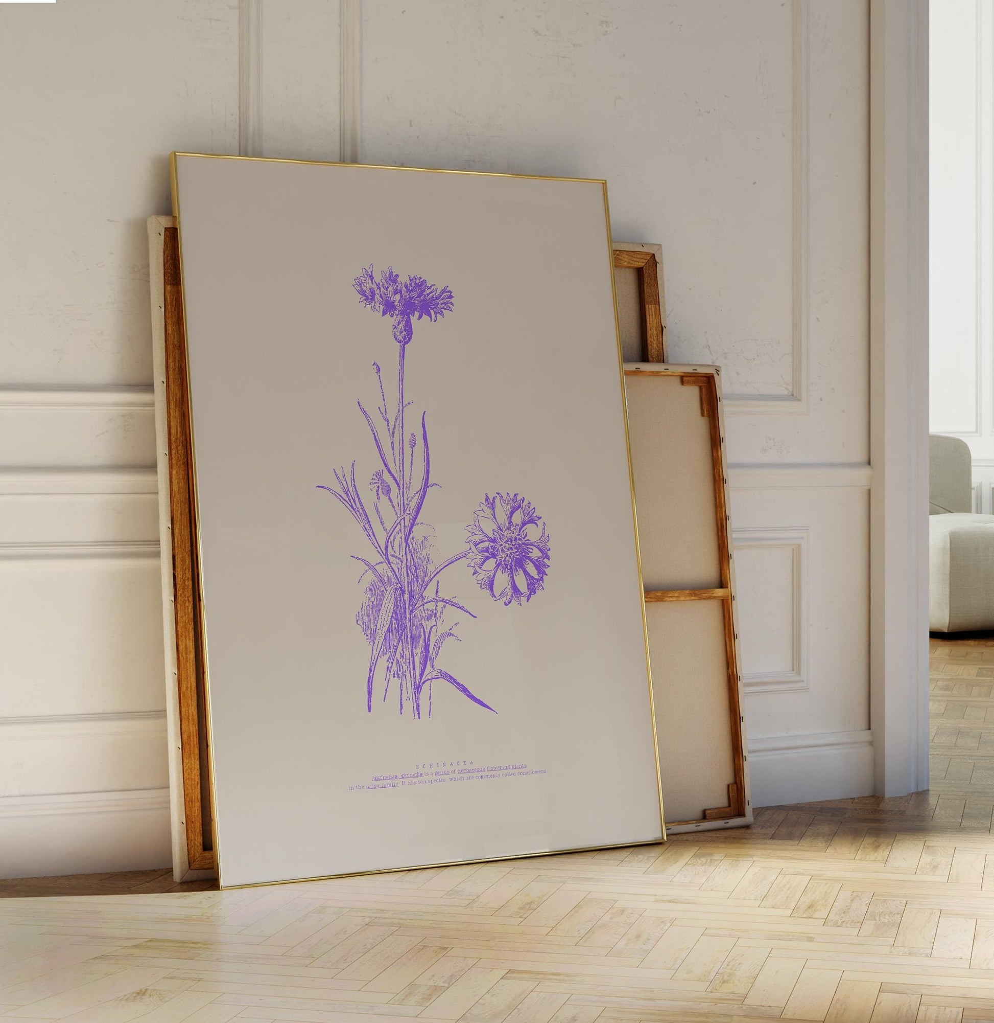 Echinacea Botanical Poster | Vintage Cornflower Illustration | Purple Floral Art | Nature Lovers Decor | Botanical Poster | Modern Vintage