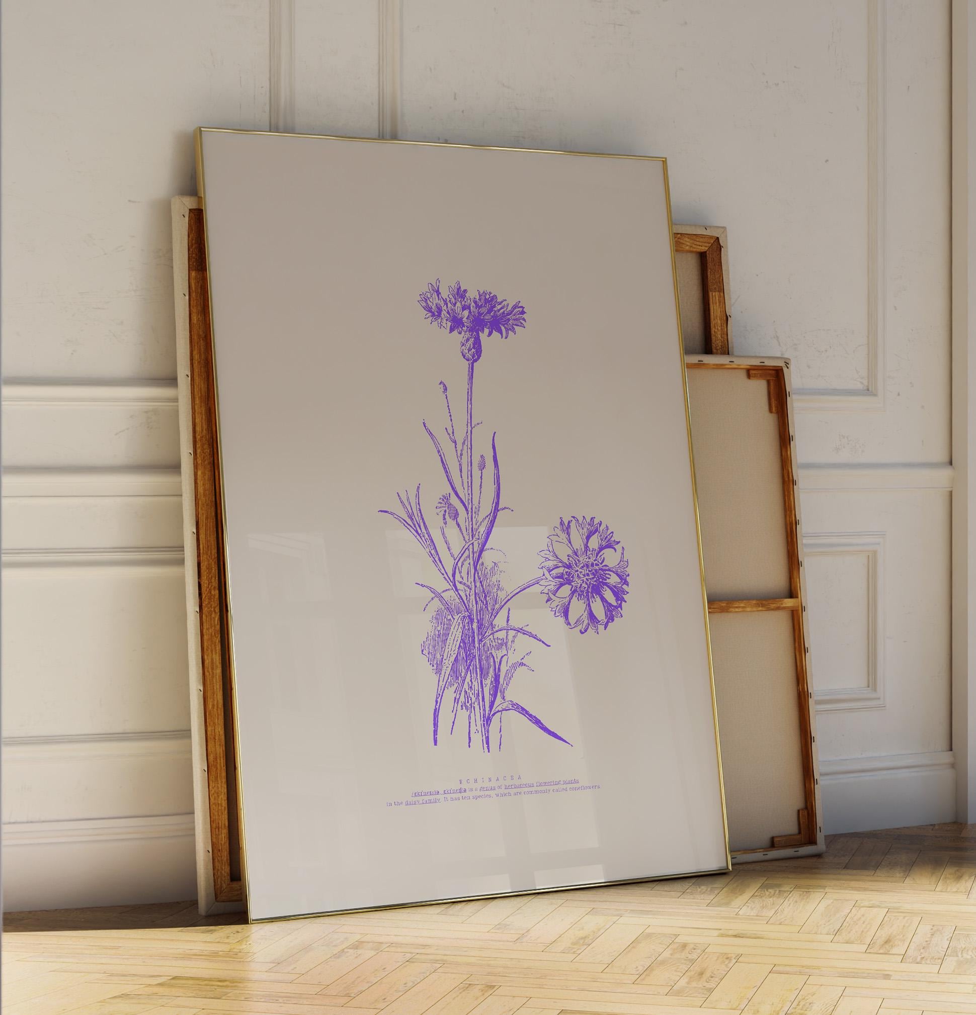 Echinacea Botanical Poster | Vintage Cornflower Illustration | Purple Floral Art | Nature Lovers Decor | Botanical Poster | Modern Vintage